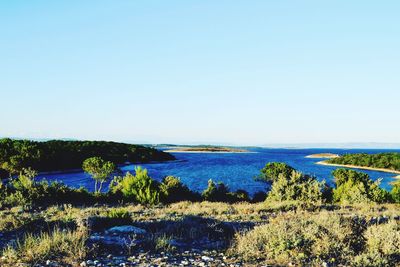 Scenic view of calm sea against clear sky