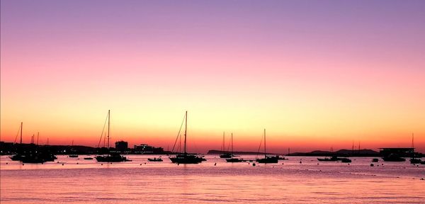 Sailboats moored in marina at sunset