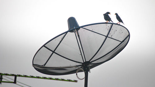 Low angle view of birds on cable against sky