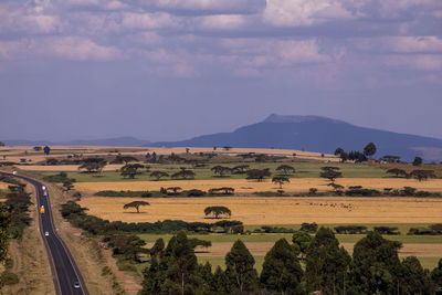 Scenic view of landscape against sky