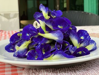 Close-up of purple flowers in plate on table