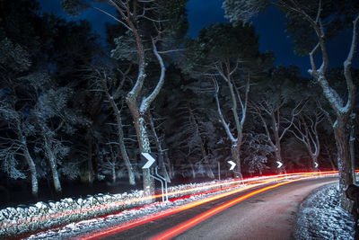 Light trails on road amidst trees during winter at night