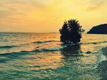 Scenic view of sea at sunset