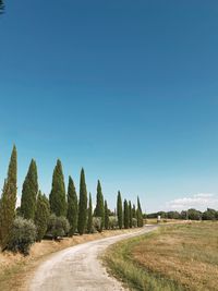 Road amidst trees on field against clear blue sky