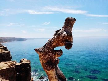 Driftwood on sea shore against sky