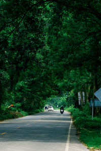 Road amidst trees in forest