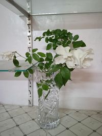 Close-up of white flowers in vase