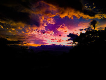 Silhouette trees against dramatic sky during sunset