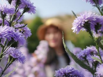 Close-up of purple flowering plants