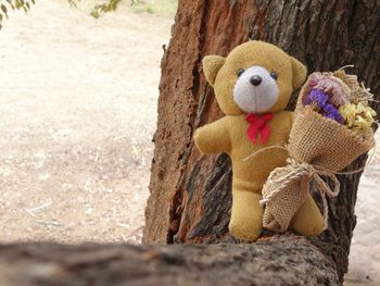 Close-up of child on wood