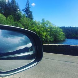 Reflection of trees in side-view mirror