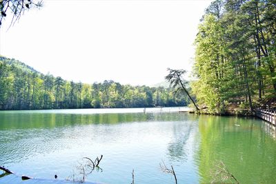 Scenic view of lake against clear sky