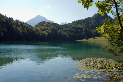 Scenic view of lake by trees against sky