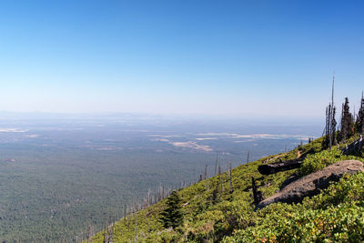 Scenic view of landscape against clear sky