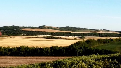 Scenic view of landscape against clear sky