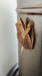 Close-up of food