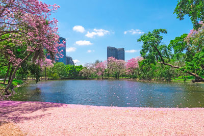 Scenic view of lake by buildings against sky