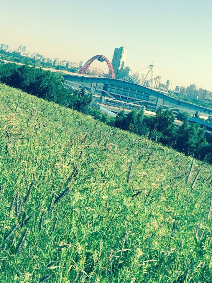 grass, bridge - man made structure, architecture, day, green color, outdoors, built structure, landscape, no people, clear sky, nature, sky, city