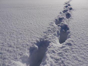 Low section of person standing on snow covered landscape