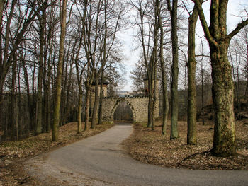 Road amidst bare trees in forest