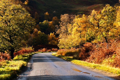 Road amidst trees during autumn