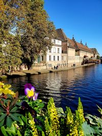 Scenic view of river by buildings against sky