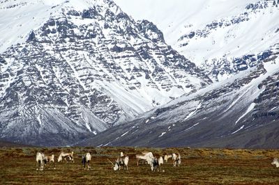 Scenic view of snow covered field