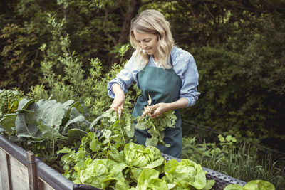 Full length of a woman holding ice cream plants