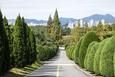 Road amidst trees in city against sky