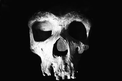 Close up of human skull