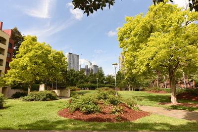 Plants and trees in park against sky