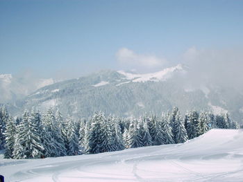 Scenic view of snow covered landscape against sky