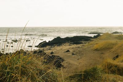 Scenic view of sea against clear sky