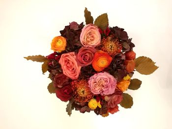 Close-up of rose bouquet against white background