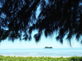 Scenic view of trees against sky