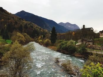 Scenic view of river amidst trees against sky