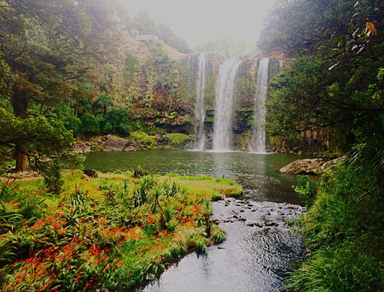 water, flowing water, waterfall, flowing, tree, beauty in nature, nature, scenics, plant, motion, tranquility, growth, tranquil scene, stream, green color, river, long exposure, idyllic, waterfront, forest