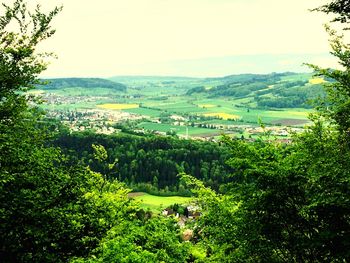 Landscape with mountain range in background