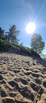 Scenic view of beach against sky on sunny day