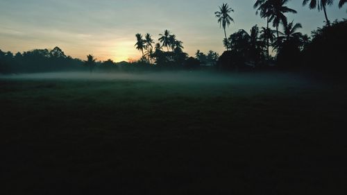 Silhouette trees on field against sky at sunset