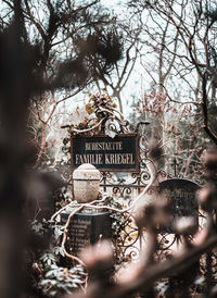 Information sign on tree against building