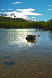Ducks swimming on lake against sky