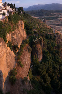 High angle view of trees on mountain