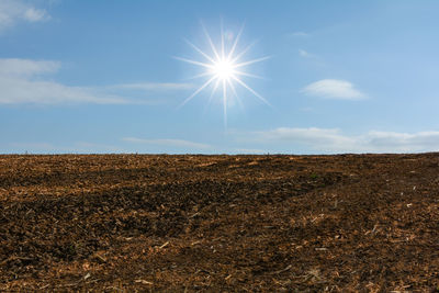 Scenic view of field against bright sun