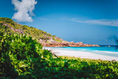 Scenic view of beach against sky