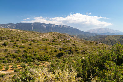 Scenic view at landscape on the westside of greek island rhodes with green vegetation