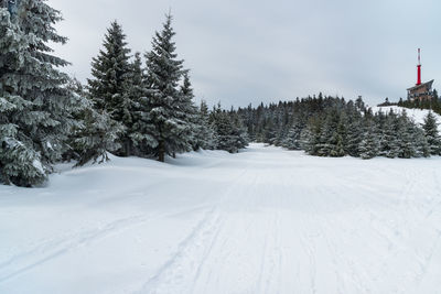 Snow covered land and trees against sky