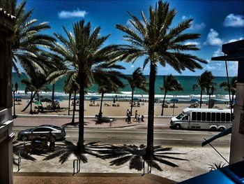 Palm trees against sky