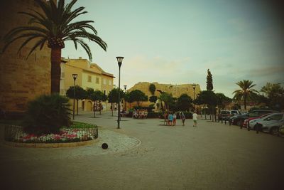 Palm trees in city against sky