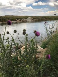 Scenic view of lake against sky